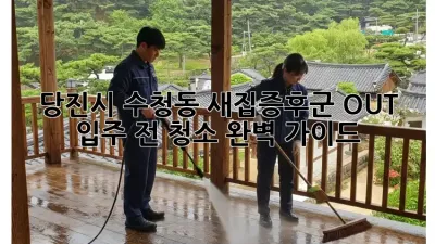 당진시 수청동 새집증후군 OUT! 입주 전 청소 완벽 가이드